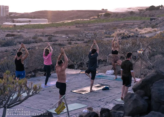 The Tree House Surf Camp *