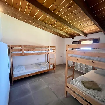 The Tree House Surf Camp Hostel