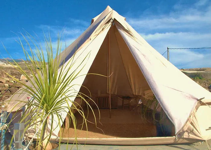 The Tree House Surf Camp