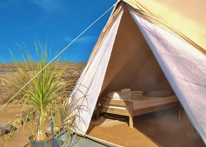 Ostello The Tree House Surf Camp *