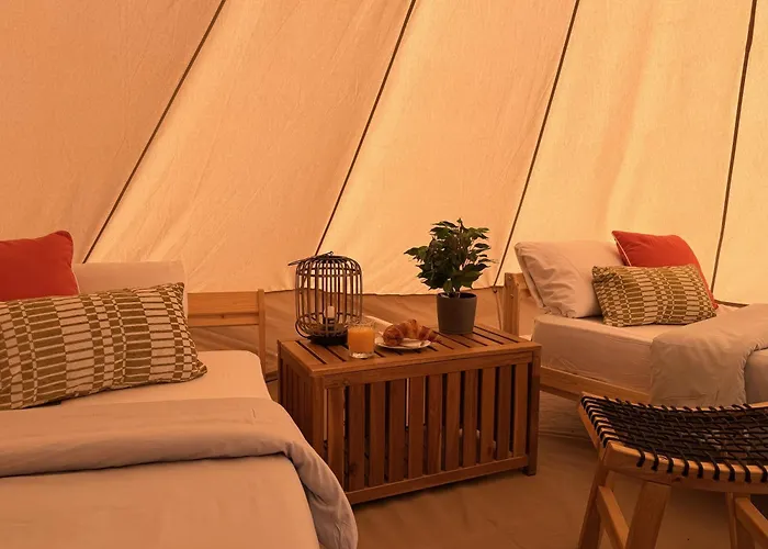 The Tree House Surf Camp Costa Adeje (Tenerife)