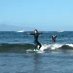 The Tree House Surf Camp * Costa Adeje (Tenerife)