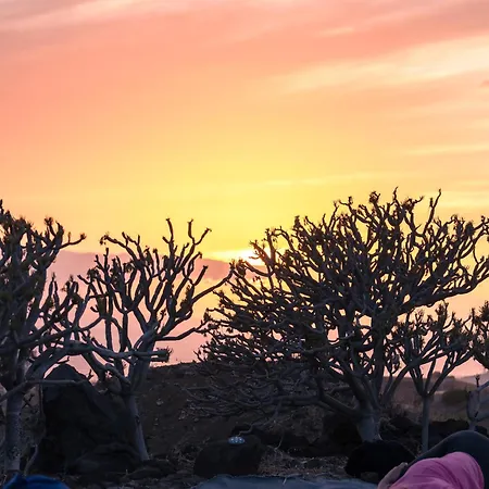 Albergue The Tree House Surf Camp