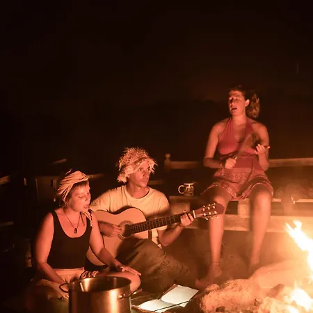 Albergue The Tree House Surf Camp