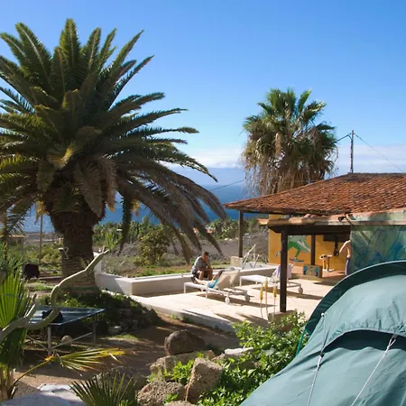 The Tree House Surf Camp ホステル *
