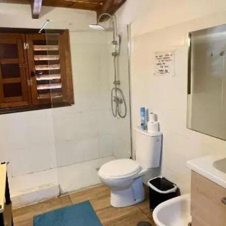 Albergue The Tree House Surf Camp *