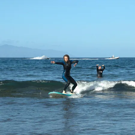 The Tree House Surf Camp * 阿德耶