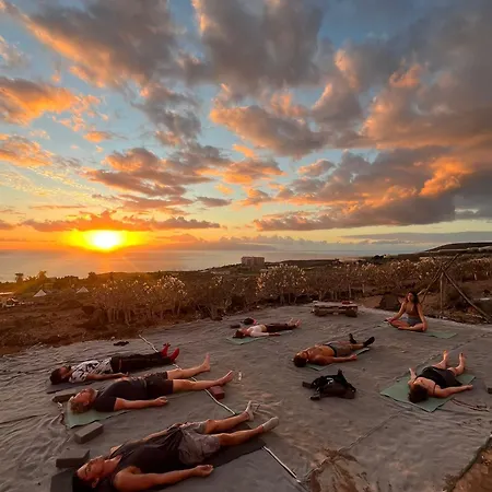 The Tree House Surf Camp * 阿德耶