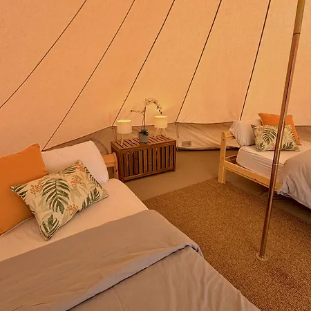 Хостел The Tree House Surf Camp