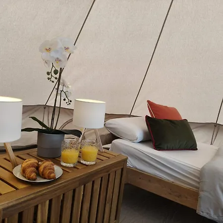 旅馆 The Tree House Surf Camp