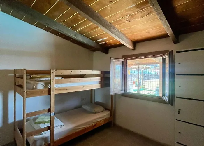 The Tree House Surf Camp Costa Adeje