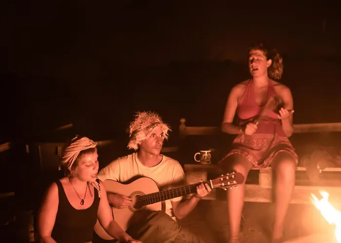 Хостел The Tree House Surf Camp