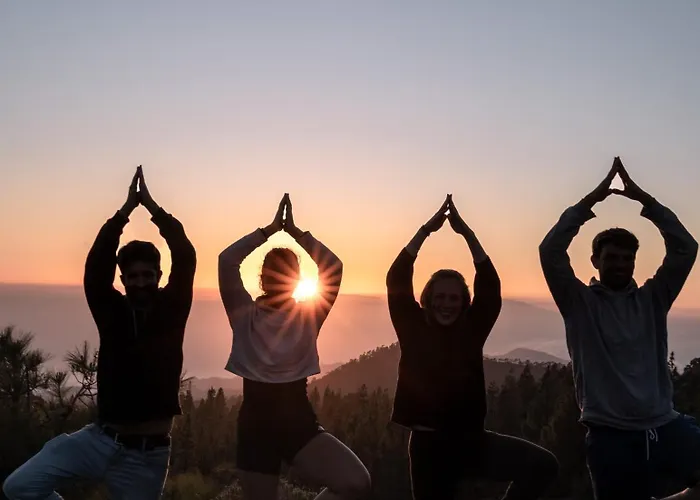 The Tree House Surf Camp