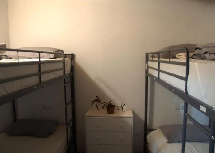 Хостел The Tree House Surf Camp