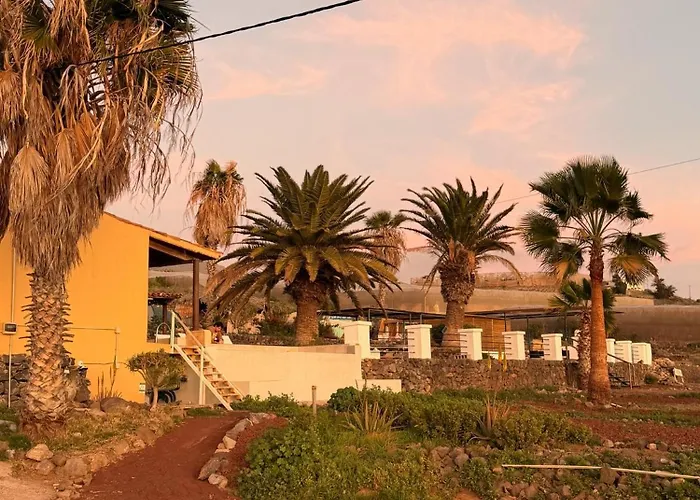 The Tree House Surf Camp Хостел *