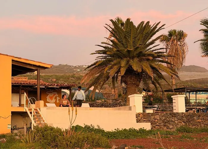 The Tree House Surf Camp Vandrerhjem Costa Adeje (Tenerife)