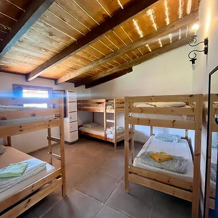 The Tree House Surf Camp *