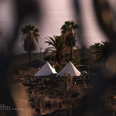 The Tree House Surf Camp 호스텔 *