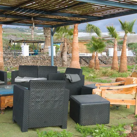 The Tree House Surf Camp *