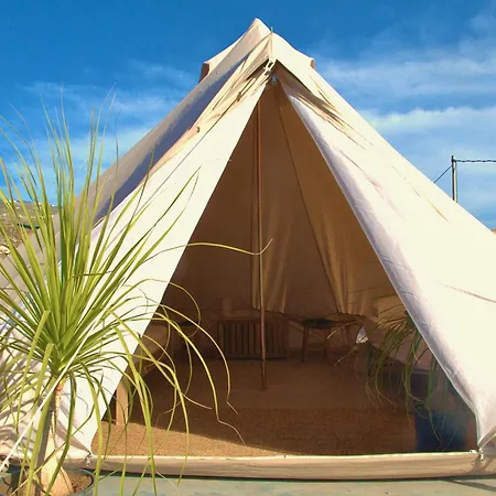 The Tree House Surf Camp