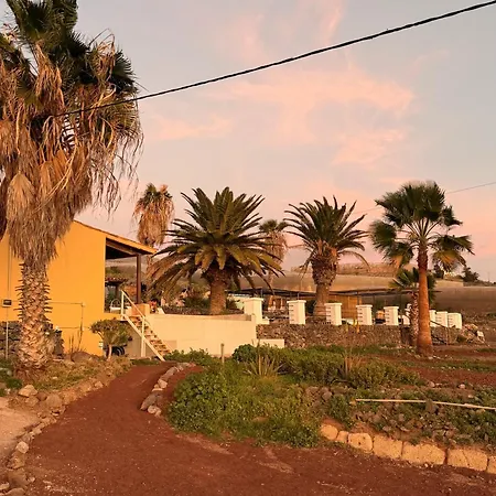 The Tree House Surf Camp Vandrerhjem *