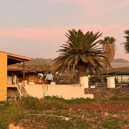 The Tree House Surf Camp Vandrerhjem Costa Adeje (Tenerife)